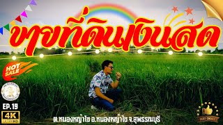 EP.19 #ขายที่ดินเงินสด ที่ดิน 100 ตร.ว. | ขายสด | ประปา+ไฟฟ้า มีแล้ว | #ที่ดินหนองหญ้าไซ