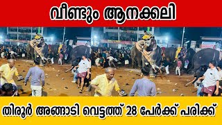 വീണ്ടും ആനക്കലി.തിരൂർ അങ്ങാടി വെട്ടത്ത് 28 പേർക്ക് പരിക്ക്.