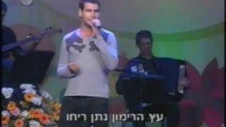 לירון לב - עץ הרימון