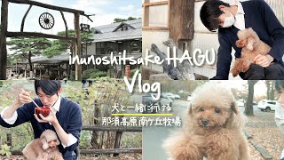 【Vlog】犬と一緒に楽しめる那須高原の南ヶ丘牧場HAGU COTTAGEに宿泊の際はぜひここで愛犬との思い出作りを！【ドッグトレーナが運営する那須の宿】