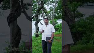 Bro. Mohan C Lazarus - கர்த்தர் உங்களுக்கு அமைதியான இடத்தைத் தருவார்.