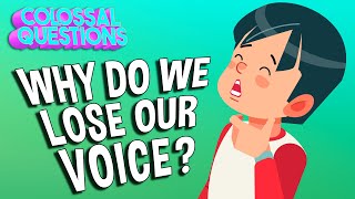 Why Do We Lose Our Voice? | COLOSSAL QUESTIONS