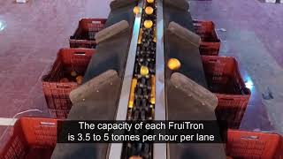 Hortisort - India's First High-Speed Optical Fruit Grading System