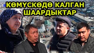 ОШ |СУУ, КАТТАМ, ЖАРЫК, ЖОЛ МАСЕЛЕЛЕРИ | АМИР-ТЕМУР