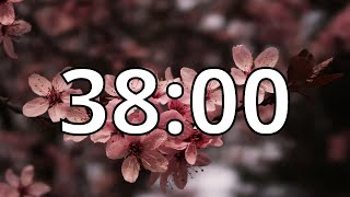 38 Minutes Timer with Music | Cherry Blossom Timer