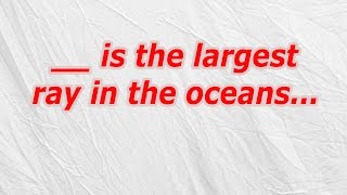 is the largest ray in the oceans (CodyCross Crossword Answer)