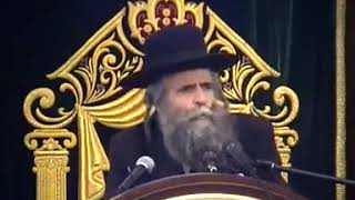 Rav Avrohom Schorr