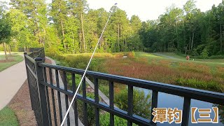 【潭钓三】搬到了新的地方，试着在小区里的小潭里钓鱼。Move to a new place and try to fish in a small pond of my community.