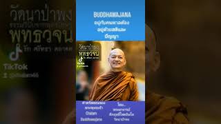 อยู่กับคนพาลต้องอยู่ด้วยสติและ​ปัญญา​ #พระอาจารย์คึกฤทธิ์ #พุทธวจน #วัดนาป่าพง #พระพุทธเจ้า