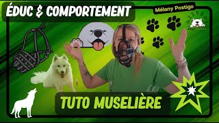 TUTO MUSELIERE pour CHIEN ? EDUCATION CANINE - Minute éduc'stucieux.