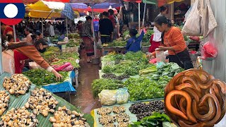 เลาะตลาดแลงเมืองไซ แขวงอุดมไซ สปป.ลาว หน่อไม้ แมงกอก ของป่าลาวอาหารธรรมชาติหลายคัก