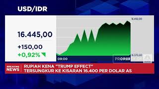 Tarif Impor Trump Bikin Rupiah Anjlok, Dolar Tembus Rp 16.400-an