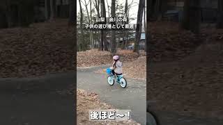 山梨県　【森林公園　金川の森】子供の遊び場として超最適！キャンピングカー旅行でおすすめの金川の森