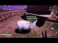 icarus laika update early look sheep u0026 chickens