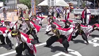 笑輝＊銭形よさこい2017＊中州はれはれ会場