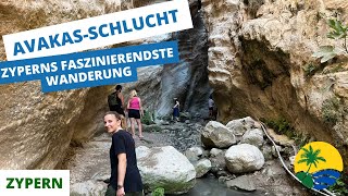 Avakas-Schlucht auf Zypern: Tipps \u0026 Highlights für deine Wanderung