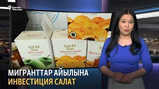 Мигранттар айылына инвестиция салат