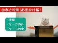 冬の寒さはこう乗り切る！【獣医師解説】犬と猫の寒さ対策