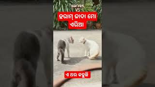 ଏ ଥର କହୁଛି #youtubevideo #funny #trending #comedyentertainment