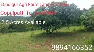 Dindigul Agri Farm Land For Sales. 2.5 Acres Available, Road Face