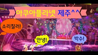 제주 아쿠아플라넷 오션아레나 다이빙 쇼 공연 | Jeju Aqua Planet Ocean Arena Diving Show Performance