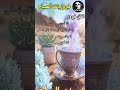 fairuz ana la habibi ☕🎵️قهوة الصباح أجمل اغاني فيروز الصباحية ❤️❤️ صباح_الخير فيروز