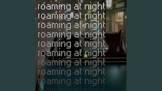 roaming at night (feat. lydon) (2024 re-mix)