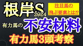 【根岸ステークス2024】有力馬考察！エンペラーワケアやタガノビューティー、サンライズフレイムらの不安材料は何なのか？1頭ずつ考察！