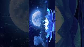 Relaxing Music for Meditation and Sleeping - Peaceful Sleep Melody Before Sleeping #shorts