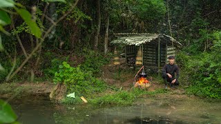 30 Days solo survival CAMPING in the Rainforest. Living and Bushwalking. Full Video
