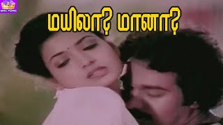 மயிலா ? மானா ? விழியா ? மீனா ? முத்துக்கள் கொட்டி |Mayila Maana Vizhiya Meena | 4K Love Song