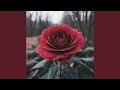 February's Goodbye
