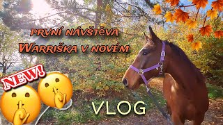 VLOG#17| Poprvé u Warriška po přestěhování🍁 nový člen🐴