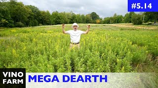 2020 Continues... Nectar Dearth (and YouTuber Fail)