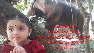 നായരമ്പലം രാജശേഖരൻ|Aamai's vlog| നായരമ്പലം രാജശേഖരൻ  naayarambalam rajashekharan