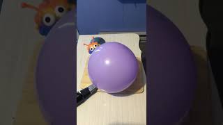 Satisfied video: balloon deflating in a satisfying time lapse #shorts #satisfying