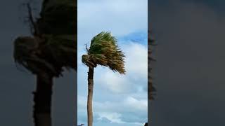 【中継】 種子島 台風22号 通過中 最大風速45km/h