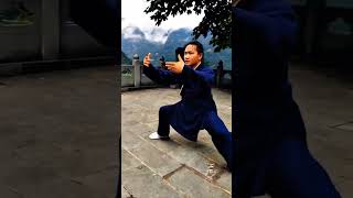 From Shaolin to Wudang : Master Li Jun Martial Arts Journey