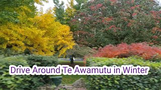 Drive Around Te Awamutu in Early Winter