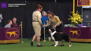 Junior Showmanship - Part 2 | WKC | 2020