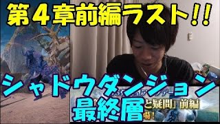 [メビウスFF]第４章前編ラスト!!シャドウダンジョン最終層に異説の騎士とパラディン？で挑む!!