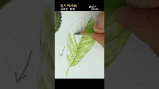 Leaf (Leaves) Drawing | 목련 잎사귀 그리는 방법 | 나뭇잎 드로잉