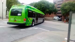 GoTriangle/GoRaleigh Gillig and Proterra (7/14/2022)