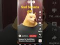 ketika banana cat nangis begini endingnya