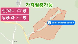 *산 (약 14,500평) (199번) 평당 1만원 (가격절충가능) *농장 (약 1,892평) (200번) 2억1천만원 (가격절충가능) 010-4949-0049 안동역부동산