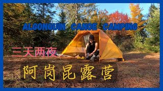 4K - Algonquin Backcountry Canoe Camping - Kawawaymog - North Tea Lake - 阿岗昆省级公园划船露营三天两夜