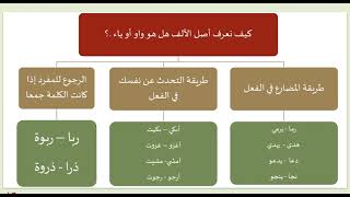 قواعد الإملاء الميسرةالدرس الثامن عشرالزيادة في بعض الأحرف