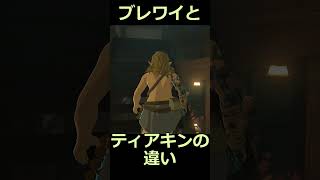 ティアキンとブレワイの違い 不審者編 #ゼルダの伝説 #zelda #ゼルダの伝説ブレスオブワイルド #ゼルダの伝説ティアーズオブザキングダム