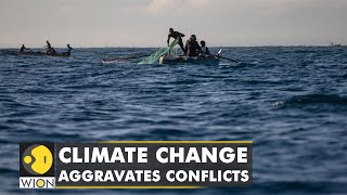 Loss of Marine Ecosystem in Haiti & Dominican Republic due to violence | WION Climate Tracker