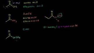 Amides, Anhydrides, Esters and Acyl Chlorides in Bangla